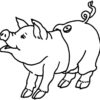 Coloriage Cochon Heureux - Télécharger Et Imprimer Gratuit Sur destiné Cochon A Imprimer