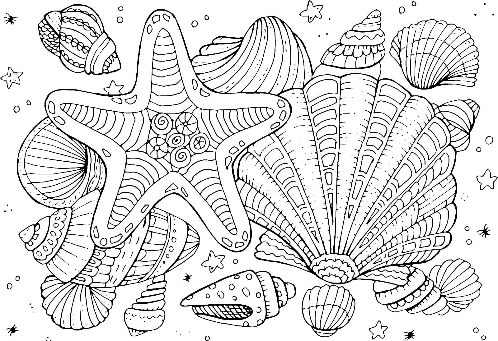 Coloriage Coquillages | Coloriages À Imprimer encequiconcerne Dessin Coquillage À Imprimer