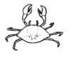Coloriage Crabe #4628 (Animaux) - Dessin À Colorier - Coloriages À Imprimer dedans Coloriage Crabe