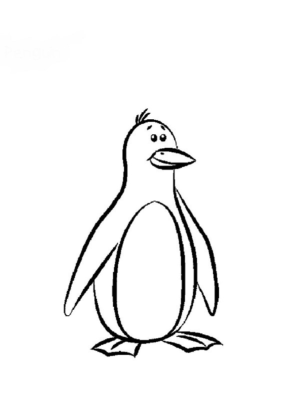 Coloriage Dessin De Pingouin Dessin Gratuit À Imprimer dedans Coloriages Pingouins