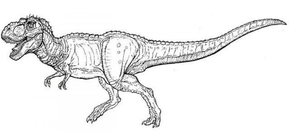 Coloriage Dinosaure Dessin Tyrannosaure T-Rex À Imprimer En 2021 à Coloriage Tyranosaure