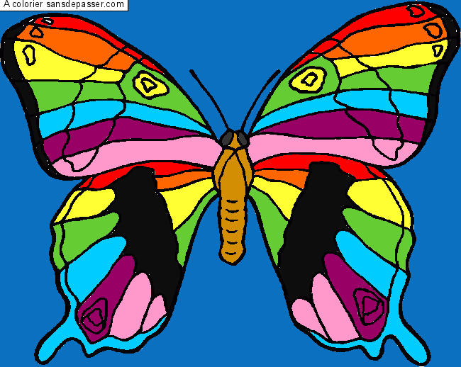 Coloriage Grand Papillon - Sans Dépasser encequiconcerne Grand Papillon À Imprimer