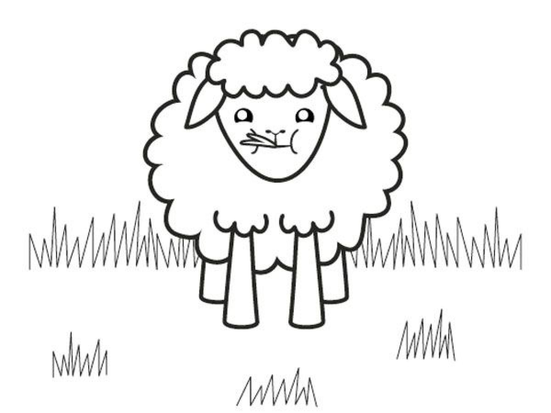 Coloriage : Le Mouton intérieur Coloriage Mouton