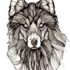 Coloriage Mandala De Loup : Coloriage Loup Wolf Adulte Animaux Dessin destiné Coloriage Loup Mandala