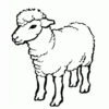 Coloriage Mouton Couleur Dessin Gratuit À Imprimer intérieur Coloriage Mouton