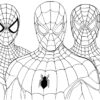 Coloriage Spider-Man - Imprimer avec Images Spiderman À Imprimer