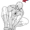 Coloriage Spiderman 3 En Reflexion Dessin Imprimer Spiderman Coloriage pour Dessins À Imprimer Spiderman