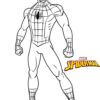Coloriage Spiderman Gratuit | 15 Images À Télécharger Et À Imprimer serapportantà Dessin À Colorier Spiderman
