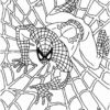 Coloriage Spiderman Gratuit À Imprimer à Dessins À Imprimer Spiderman