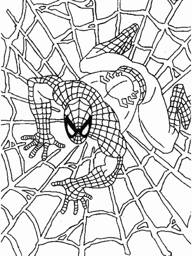 Coloriage Spiderman Gratuit À Imprimer à Dessins À Imprimer Spiderman