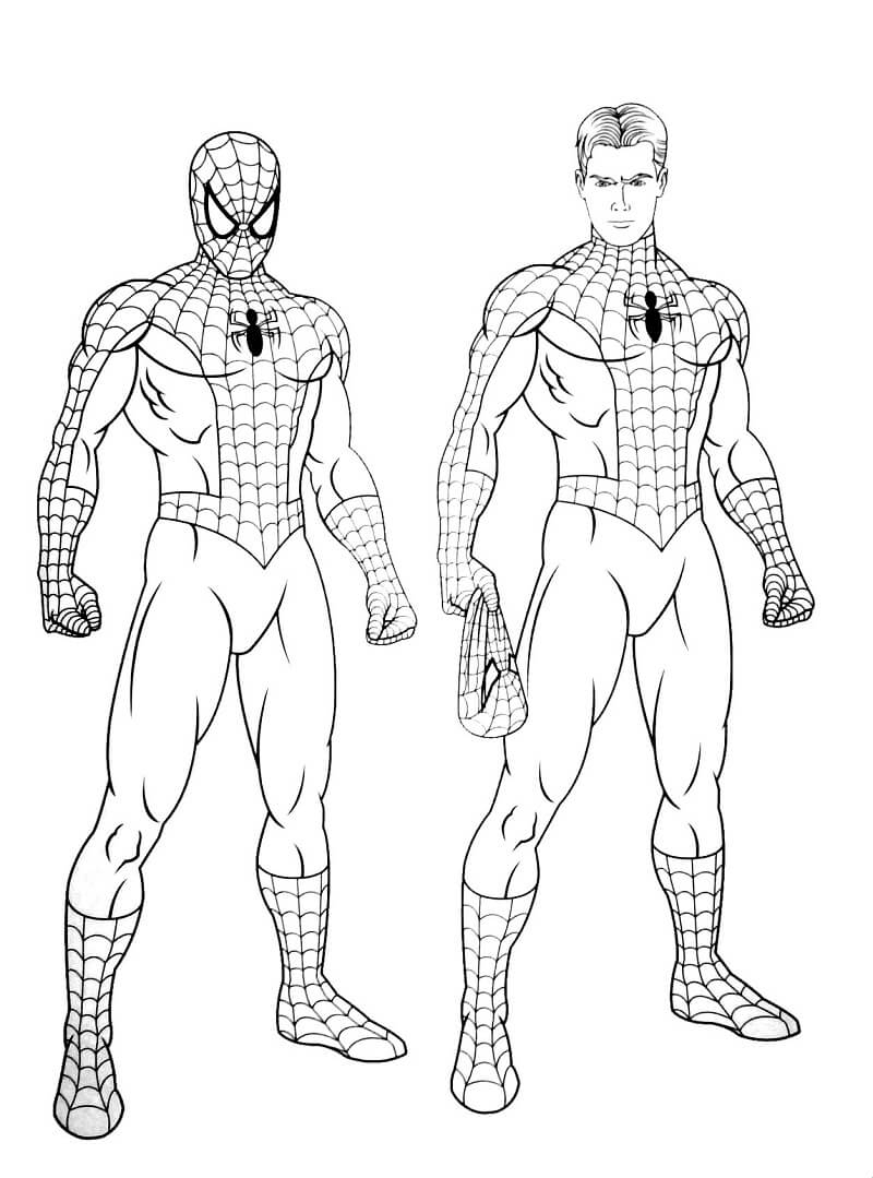 Coloriage: Spiderman Peter Parker - Télécharger Et Imprimer Gratuit pour Dessin De Spiderman A Imprimer