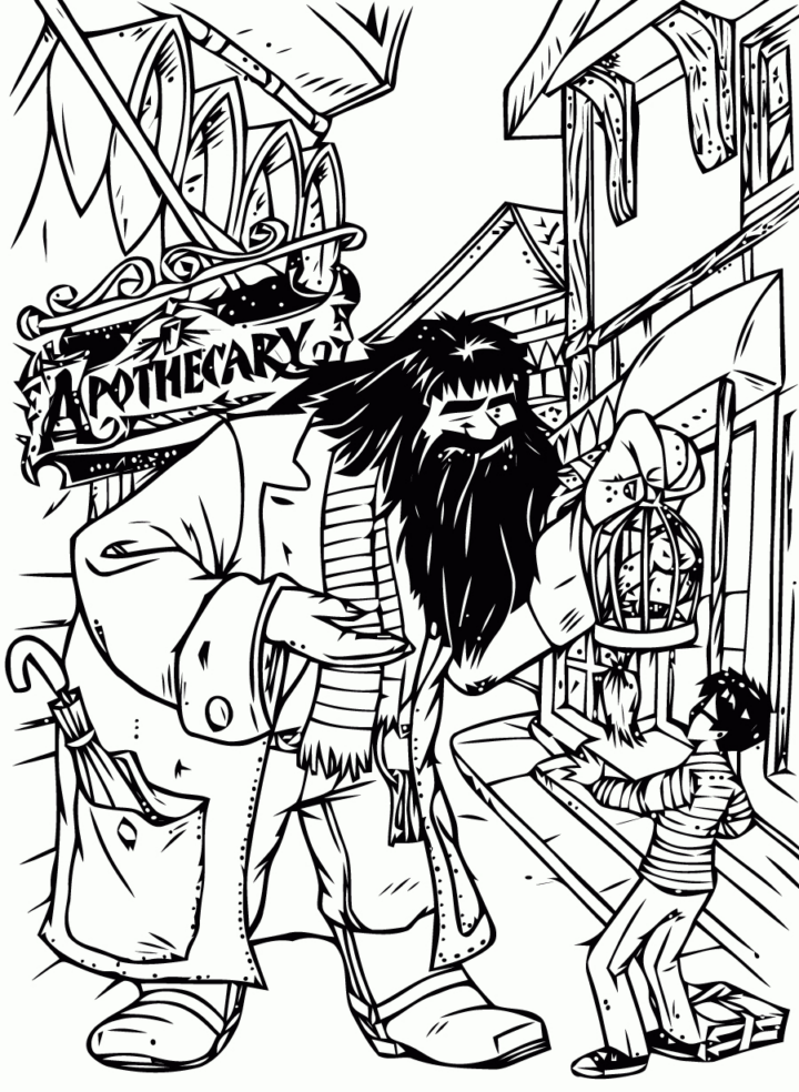 Coloriages À Imprimer : Harry Potter, Numéro : 14Ac2C81 tout Coloriage Harry Potter Hedwige