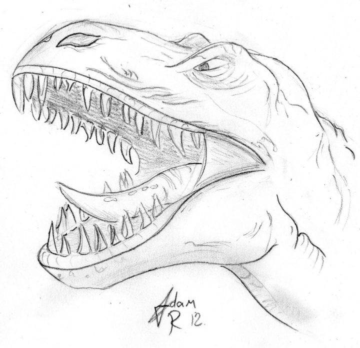 Coloriages À Imprimer : T-Rex, Numéro : 220074 serapportantà Coloriage Tyrannosaure