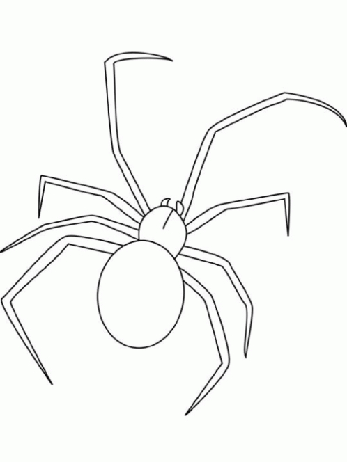 Coloriages Araignée (Animaux) - Dessins À Colorier - Coloriages À Imprimer avec Coloriage Toile D&amp;#039;Araignée