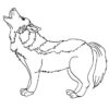 Coloriages Coloriage D'Un Canis Lupus - Fr.hellokids concernant Coloriage Loup Qui Hurle