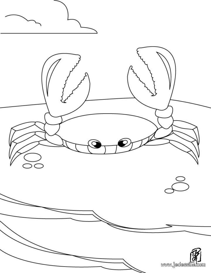 Coloriages Coloriage D'Un Crabe - Fr.hellokids concernant Coloriage Crabe