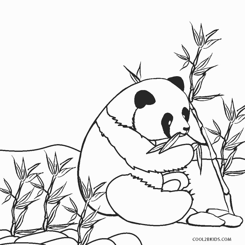 Coloriages - Panda - Coloriages Gratuits À Imprimer dedans Dessin Coloriage Panda