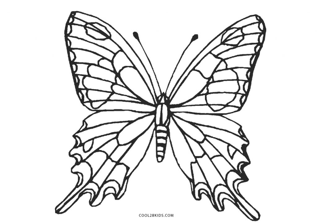 Coloriages - Papillon - Coloriages Gratuits À Imprimer dedans Grand Papillon À Imprimer