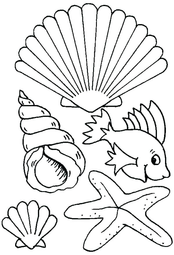 Coloring Pages Sea Shells At Getcolorings | Free Printable avec Dessin Coquillage À Imprimer