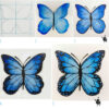 Comment Dessiner Un Papillon | Dessin Papillon, Comment Dessiner Un concernant Grand Papillon À Imprimer