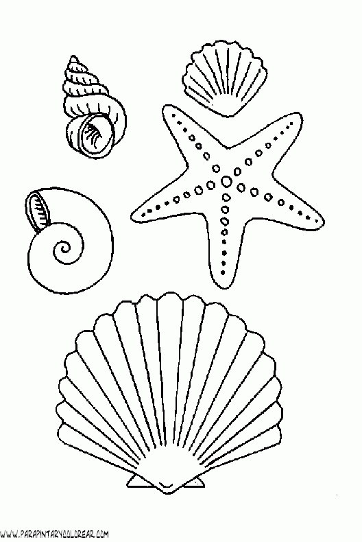 Coquillage Fish Coloring Page, Colouring Pages, Coloring Sheets pour Coloriages Coquillages