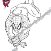 Dessin-A-Imprimer-Pour-Coloriage-Spiderman - Coloriage Spiderman serapportantà Coloriage Spidermann