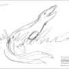 Download 121+ Mosasaurs Coloring Pages Png Pdf File tout Coloriage Mosasaurus