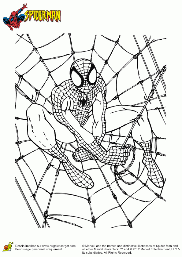Épinglé Sur Coloriages Super-Héros serapportantà Dessins À Imprimer Spiderman