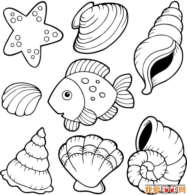 Free Coloring Pages Of Is Shell | Free Coloring Pages, Coloring Pages serapportantà Dessin Coquillage À Imprimer