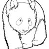 Free Printable Panda Coloring Pages - Customize And Print dedans Panda À Imprimer Gratuit