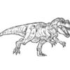 Free T Rex Coloring Pages Jurassic Park T Rex Coloring Pages | Livre avec Coloriage Jurassic World T Rex