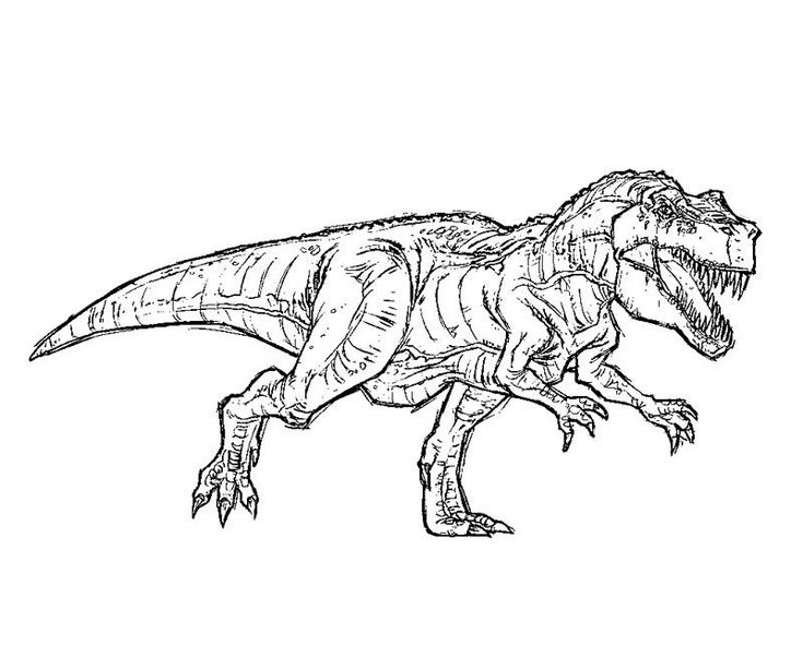 Free T Rex Coloring Pages Jurassic Park T Rex Coloring Pages | Livre avec Coloriage Jurassic World T Rex
