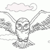 Harry Potter Hedwig Drawing At Getdrawings | Free Download intérieur Coloriage Hedwige