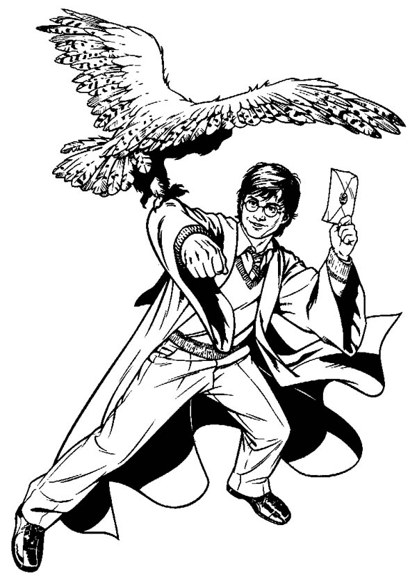 Harry Potter Send A Letter Using Hedwig Coloring Page - Netart | Harry tout Coloriage Hedwige