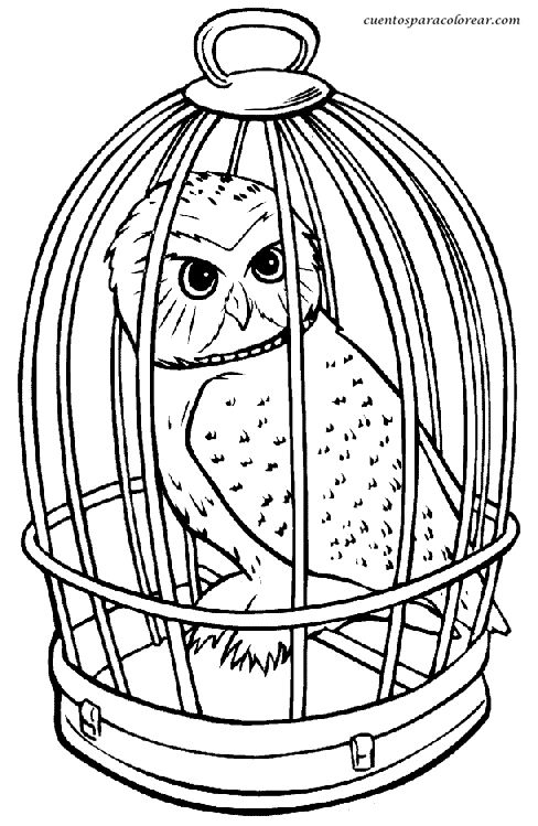 Harry_1_001.Gif (488×749) | Harry Potter Coloring Pages, Harry Potter concernant Coloriage Hedwige