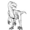 Jurassic World Raptor Coloring Pages At Getcolorings | Free concernant Jurassic World Coloriage