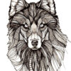 Mandala De Loup ~ Astuces D'Artiste Pour Apprendre À Réaliser Un Dessin pour Coloriage Loup Mandala