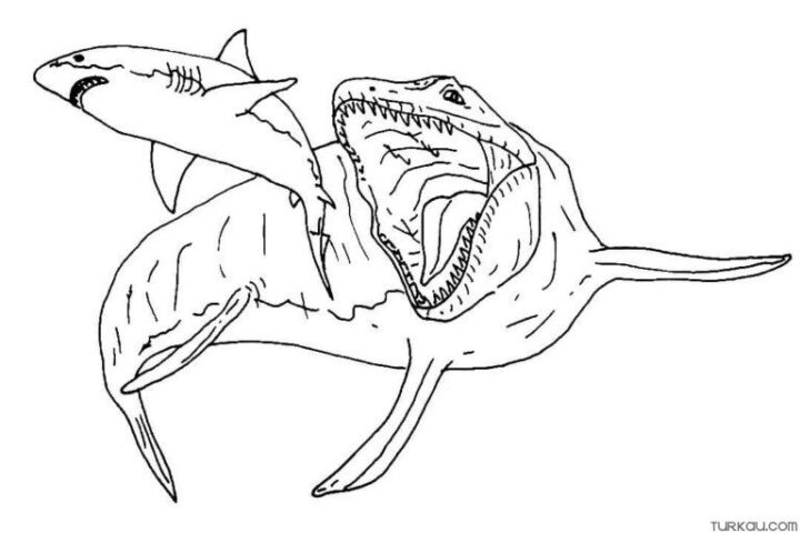 Mosasaurus Coloring Page » Turkau à Coloriage Mosasaurus