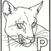 Panther Coloring Page - Animals Town - Animals Color Sheet - Panther à Coloriage Panther