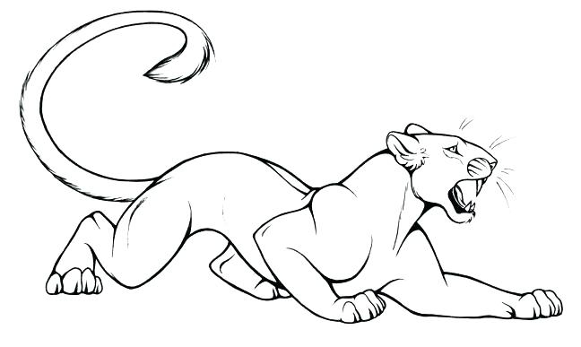 Panther Drawing Images At Getdrawings | Free Download serapportantà Coloriage Panther