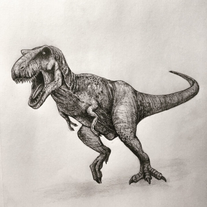 Pin By Abby Nicole On Illustrations | Dinosaur Drawing, Dinosaur à Dessin Dinosaure Jurassic World