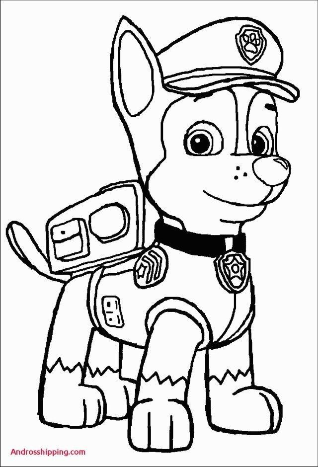 Pin By Rêves Et Créations On Pat Patrouille | Paw Patrol Coloring, Paw pour Chase Dessin