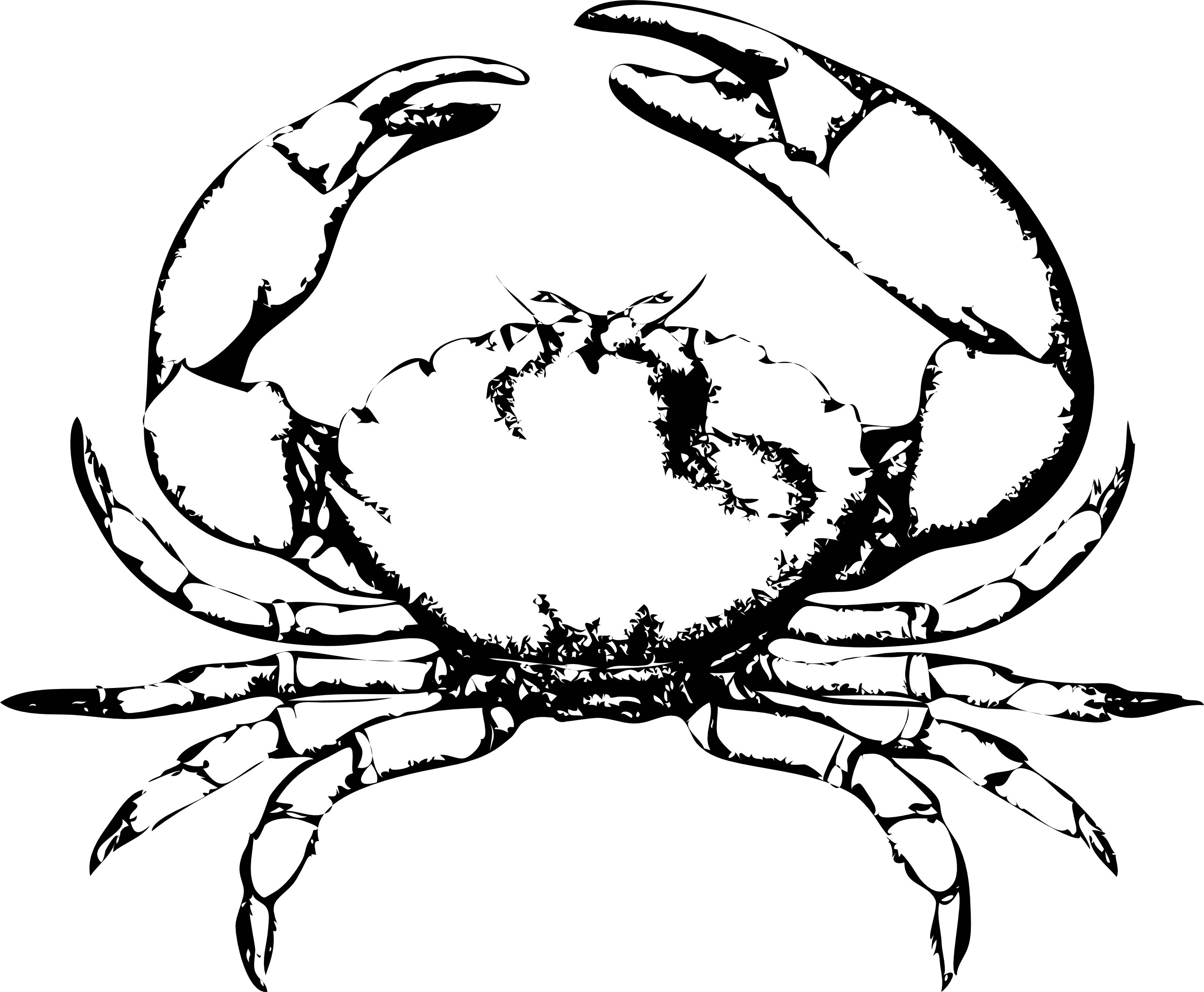 Printable Crab - Printable Word Searches intérieur Coloriage Crabe