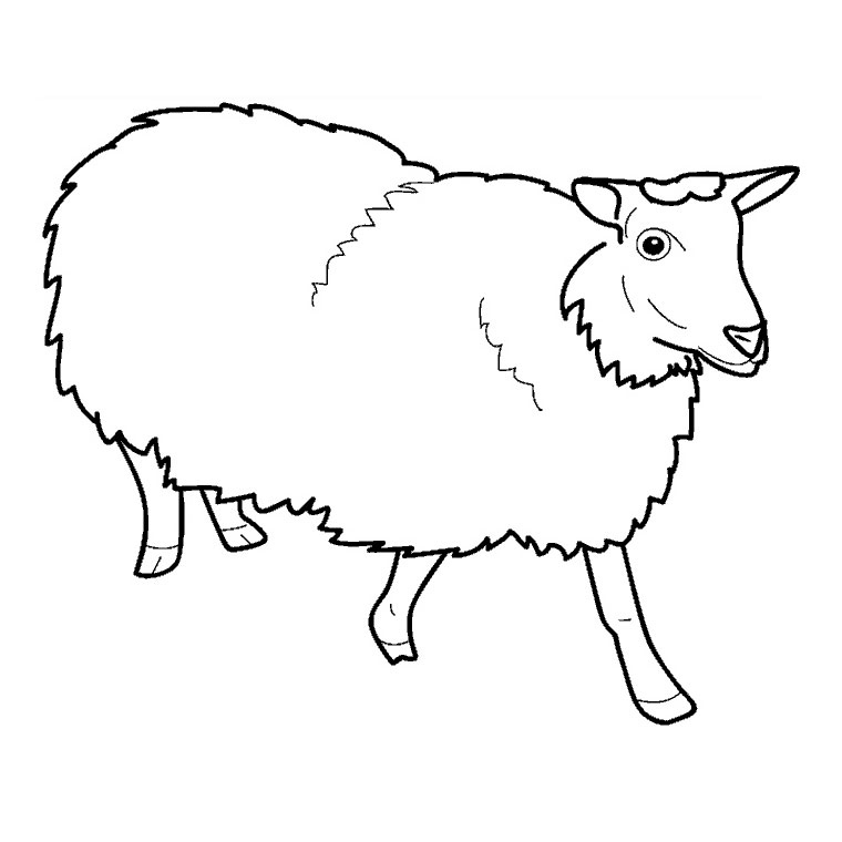 Sélection De Coloriage Mouton À Imprimer Sur Laguerche - Page 1 concernant Coloriage Mouton