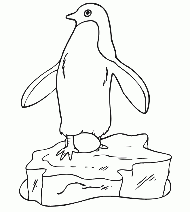 Sélection De Coloriage Pingouin À Imprimer Sur Laguerche - Page 2 concernant Coloriages Pingouins