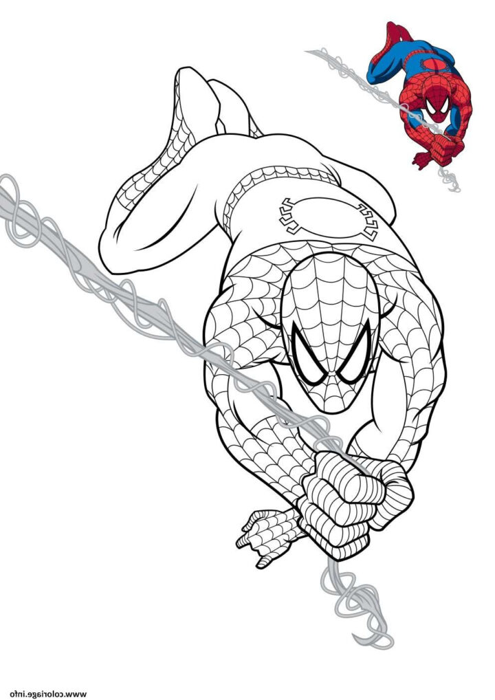 Spiderman Coloriage À Imprimer Beau Photos Coloriage Spiderman En Plein pour Coloriage Spidermann