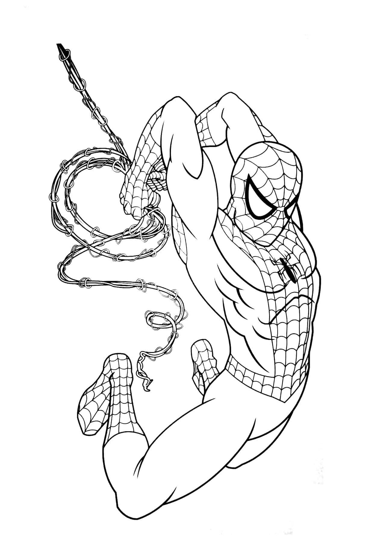 Spiderman Coloriage Gratuit Imprimer Gratuit Coloriage à Dessin À Colorier Spiderman