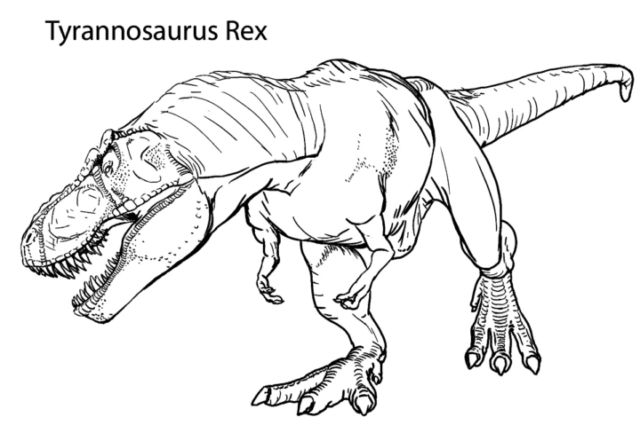 T Rex Coloring Pages - Coloring.rocks encequiconcerne Trex Coloriage