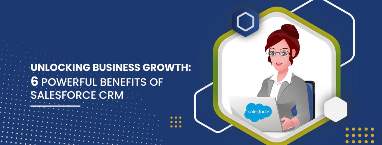 Unlocking Business Growth: A Comprehensive Guide to Salesforce ERP