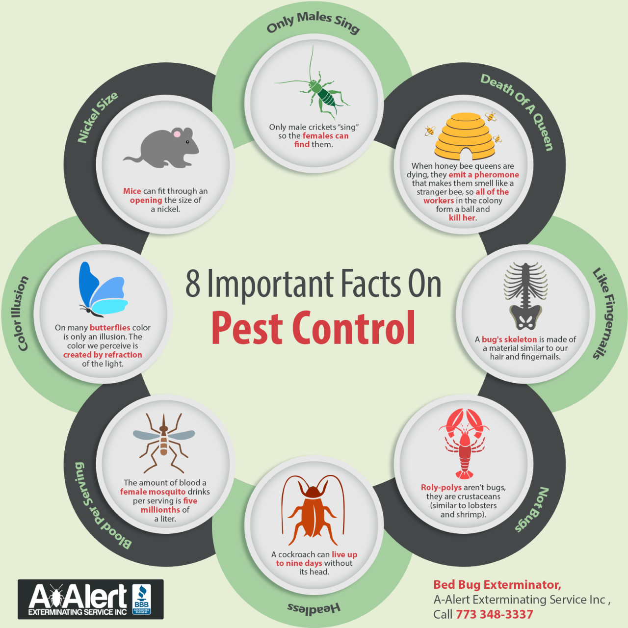 Navigating the Labyrinth of Pest Control: How Software Can Be Your Guiding Light